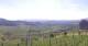 Valdobbiadene Do. 16.4.