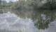 Les Landes-Genusson Do. 16.4.