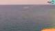 Piran Do. 16.4.