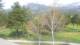 Barcelonnette Fr. 17.4.