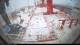 Irena Arctica Fr. 17.4.