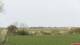 Nordstrand Fr. 17.4.