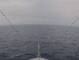 Costa Serena Fr. 17.4.