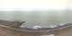 Pourville Sa. 18.4.