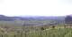 Valdobbiadene Sa. 18.4.