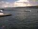 Thalwil So. 19.4.