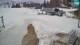 Bohinj So. 19.4.