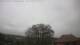 Bad Frankenhausen So. 19.4.