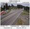 Timber, Oregon So. 19.4.