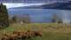 Loch Ness So. 19.4.