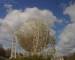 Jodrell Bank Observatory So. 19.4.