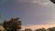 Carrum So. 19.4.