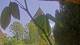 Provins So. 19.4.