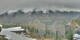 Ahrntal So. 19.4.