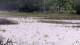 Les Landes-Genusson Mo. 20.4.