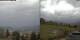 Jena Mo. 20.4.