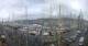 Genua Mo. 20.4.