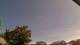 Carrum Mo. 20.4.