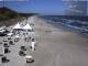 Heringsdorf (Usedom) Di. 21.4.