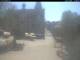 Alfeld (Leine) Mi. 22.4.