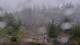 Bellevue, Washington Mi. 22.4.