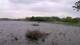 Les Landes-Genusson Mi. 22.4.