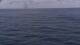 Mein Schiff Relax Mi. 22.4.