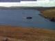 Vidlin (Shetland) Mi. 22.4.