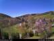 Diedenshausen (Bad Berleburg) Mi. 22.4.