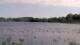 Les Landes-Genusson Do. 23.4.