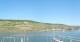 Bingen am Rhein Do. 23.4.