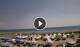 Albenga Do. 23.4.