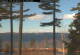 Windham, Maine Do. 23.4.