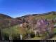 Diedenshausen (Bad Berleburg) Do. 23.4.