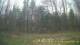 Tustin, Michigan Fr. 24.4.