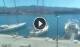 Portoferraio (Elba) Fr. 24.4.