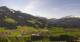 Westendorf Fr. 24.4.