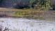 Les Landes-Genusson Fr. 24.4.