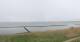 Nebel (Amrum) Fr. 24.4.