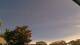 Carrum Fr. 24.4.