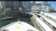 Norwegian Bliss Fr. 24.4.