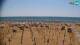 Bibione Fr. 24.4.