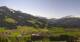 Westendorf Sa. 25.4.
