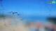 Susak Sa. 25.4.