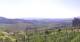 Valdobbiadene Sa. 25.4.
