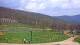 Nellysford, Virginia Sa. 25.4.