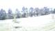 Pittsburg, Illinois So. 26.4.
