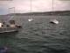 Thalwil So. 26.4.
