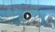 Portoferraio (Elba) So. 26.4.