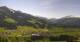 Westendorf So. 26.4.